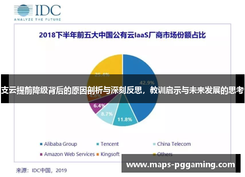 支云提前降级背后的原因剖析与深刻反思，教训启示与未来发展的思考